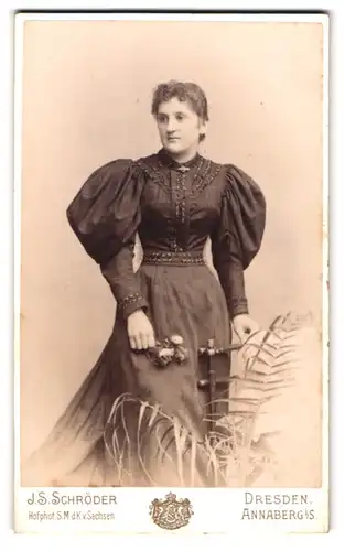 Fotografie J.S. Schröder, Dresden, Reissigstr. 46, junge Dame im kleid mit Puffärmeln