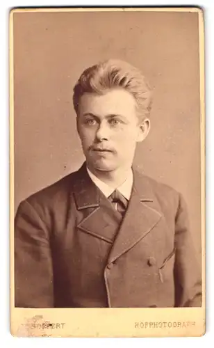 Fotografie W. Höffert, Dresden, Seestr. 10, Portrait junger Mann im Anzug
