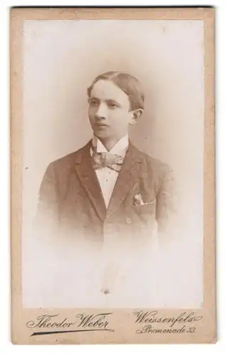 Fotografie Theodor Weber, Weissenfels, Promenade 33, Portrait Knabe im Anzug mit Fliege