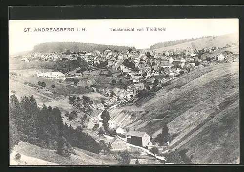 AK St. Andreasberg i. H., Totalansicht von Treibholz