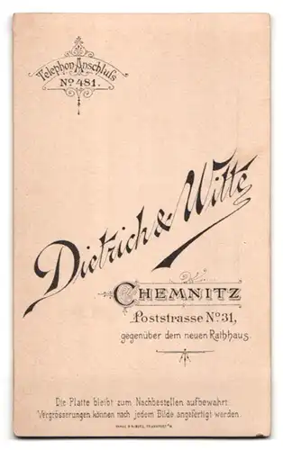 Fotografie Dietrich & Witte, Chemnitz, Poststr. 31, Portrait Dame im Biedermeierkleid mit Locken