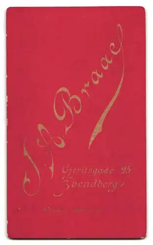 Fotografie J. A. Braae, Svendborg, Gjeritsgade 25, junge Dame mit hochgeschlossenen Kleid