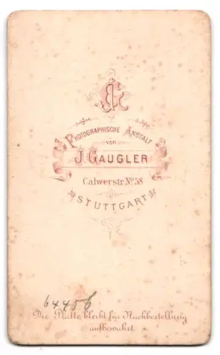 Fotografie J. Gaugler, Stuttgart, Calwerstrasse 58, feine Dame mit Hochsteckfrisur und weissem Rüschenschal