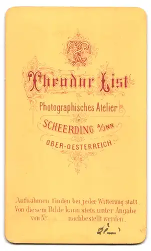 Fotografie Th. List, Scheerding a. Inn, Portrait Mädchen im gestreiften Kleid steht auf einem Hocker