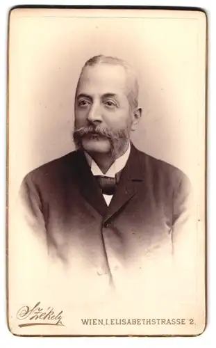 Fotografie Dr. Szekely, Wien, Elisabethstr. 2, Portrait Mann im Anzug mit Franz Josef Bart