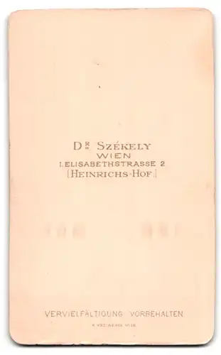 Fotografie Dr. Szekely, Wien, Elisabethstr. 2, Portrait Mann im Anzug mit Franz Josef Bart