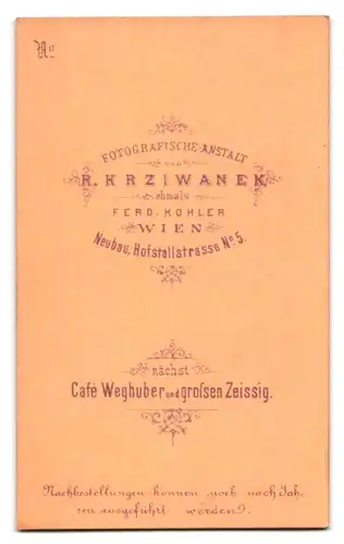 Fotografie R. Krziwanek, Wien, Hofstallstr. 5, Portrait Mann im Anzug mit Fliege und Vollbart