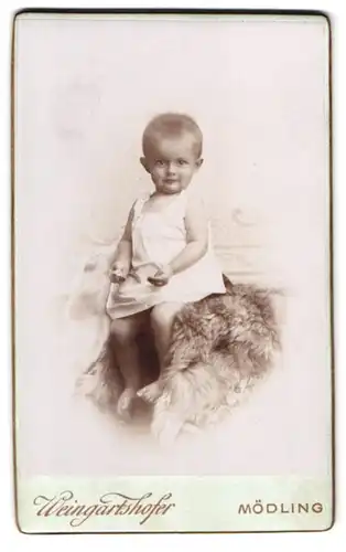 Fotografie Weingartshofer, Mödling, Hauotstr. 79, Portrait Kleinkind im weissen Kleid sitzt auf einem Fell