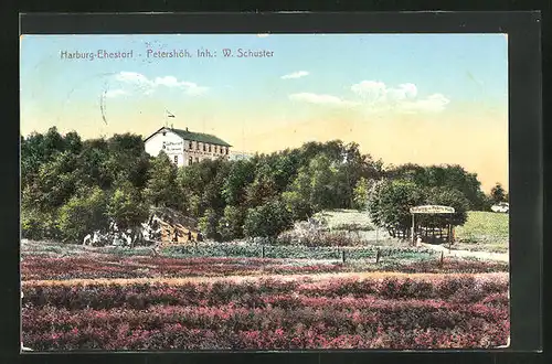 AK Ehestorf, Blick auf Restaurant Petershöh