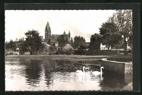 AK Odenkirchen, Park mit Teich und Schwänen