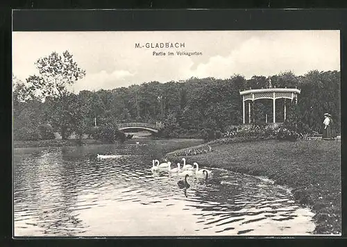 AK Mönchengladbach, Partie im Volksgarten am Teich mit Schwänen
