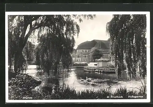 AK Mönchengladbach, Volksgarten mit Schwänen auf dem Wasser