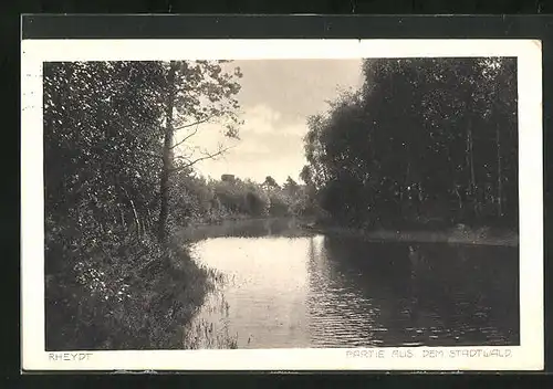 AK Rheydt, Partie aus dem Stadtwald