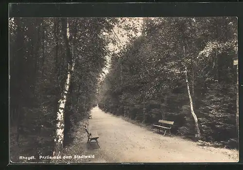 AK Rheydt, Partie aus dem Stadtwald