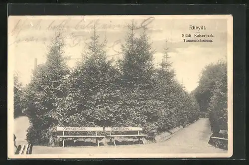 AK Rheydt, Städt. Kaiserpark, Tannenschonung