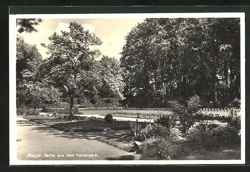 AK Rheydt, Partie aus dem Kaiserpark