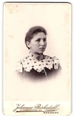 Fotografie Johanne Birkedahl, Nakskov, Sondergade 20, Portrait Frau im bestickten Kleid mit Brosche