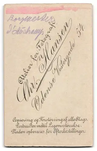 Fotografie Chr. Hansen, Odense, Verstergade 54, Portrait Borgmester d`Auchamp im Anzug mit grauen Koteletten