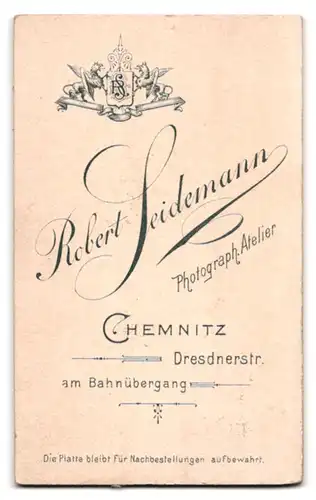 Fotografie R. Seidemann, Chemnitz, Dresdnerstr., Portrait junger Mann im Anzug mit weisser Fliege schaut grimmig