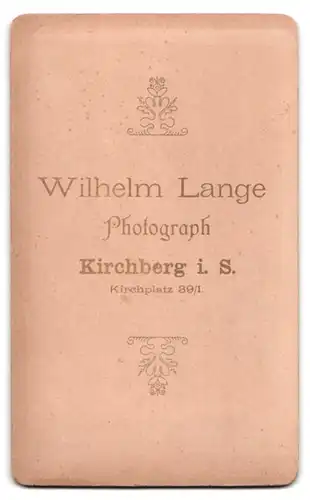 Fotografie Wilhelm Lange, Kirchberg i. S., Kirchplatz 89, Portrait Herr im Anzug mit Walrossbart