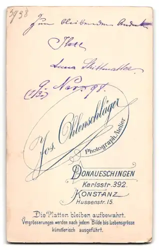 Fotografie Jos. Ohlenschläger, Donaueschingen, Karlsstr. 392, Portrait Anna Steittmatter im Kleid mit Dutt