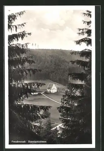 AK Freudenstadt, Bärenschlösschen