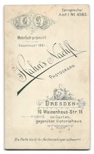 Fotografie Hans Nachtfl., Dresden, Waisenhaus-Strasse 16, hübsche Dame mit Puffärmelkleid