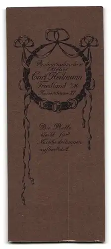 Fotografie Carl Heilmann, Friedland i. Meckl., Kaiserstrasse 27, junge Dame mit Hochsteckfrisur und Kette