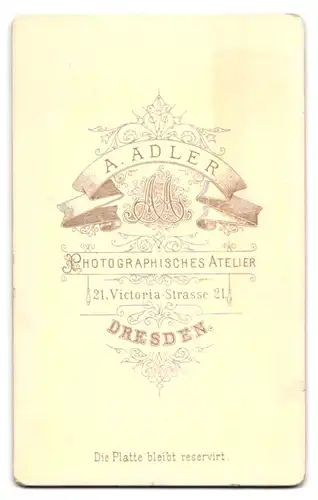 Fotografie A. Adler, Dresden, Victoriastrasse 21, gut gekleideter Junge im Anzug mit Fliege