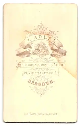 Fotografie A. Adler, Dresden, Victoriastrasse 21, junge Dame mit Hochsteckfrisur und Rüschenkragen