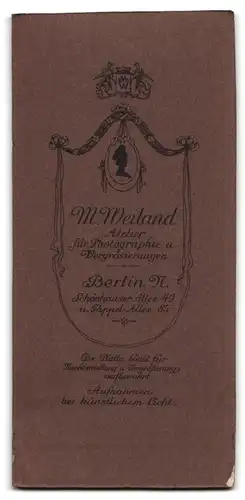 Fotografie M. Weiland, Berlin, Schönhauser-Allee 49, bürgerlicher Herr im gestreiften Anzug