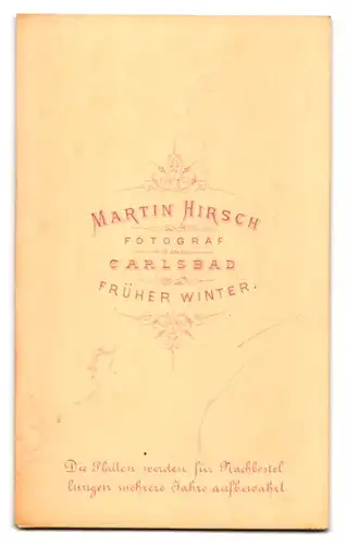 Fotografie Martin Hirsch, Karlsbad, Portrait bürgerlicher Herr im Anzug mit Backenbart