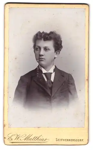 Fotografie E. W. Matthias, Seifhennersdorf, Portrait junger Knaben im Anzug mit Schlips und Locken
