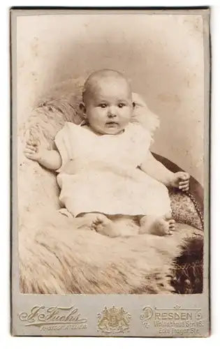 Fotografie J. Fuchs, Dresden, Waisenhaus-Str. 18, Portrait Kleinkind im weissen Kleid auf einem Fell