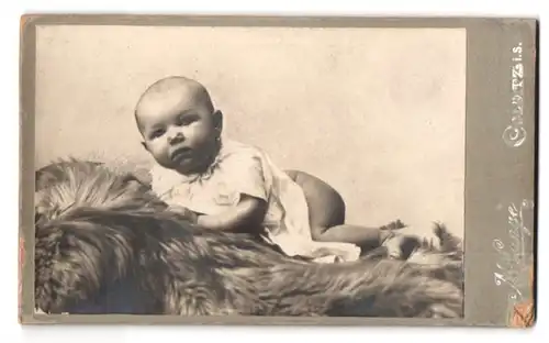 Fotografie M. Lange, Colditz i. S., Portrait halbnacktes Kleinkind liegt auf einem Fell