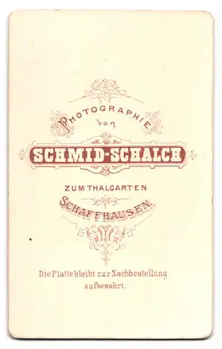 Fotografie Schmid-Schalch, Schaffhausen, zum Thalgarten, Portrait junger Mann im Anzug mit Fliege