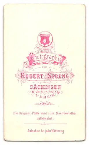 Fotografie Robert Spreng, Säckingen a. Rh., Portrait DAme im Kleid mit Schleife und Ohrringen