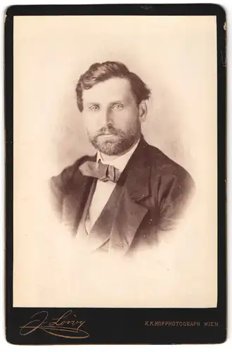 Fotografie J. Löwy, Wien, Weihburggasse 31, Portrait modisch gekleideter Herr mit Vollbart