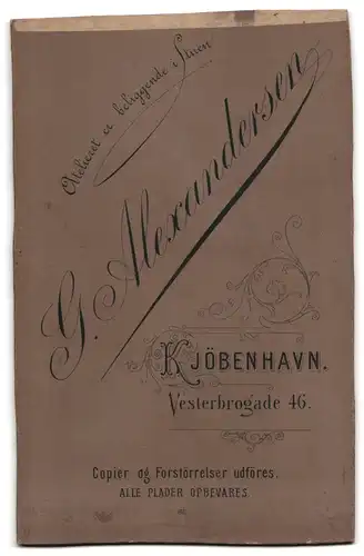 Fotografie G. Alexandersen, Kjobenhavn, Vesterbrogade 46, Geschwisterpaar