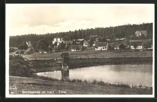 AK Bockswiese /Harz, Totalansicht