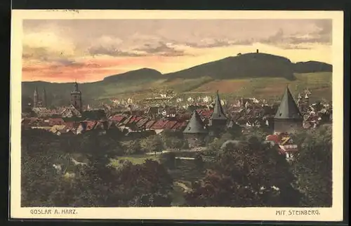 AK Goslar /Harz, Teilansicht mit Steinberg