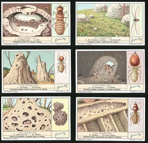 6 Sammelbilder Liebig, Serie Nr. 1364: Les Termites, Ravages, Un soldat nasique, Un Gâteau, Un Soldat