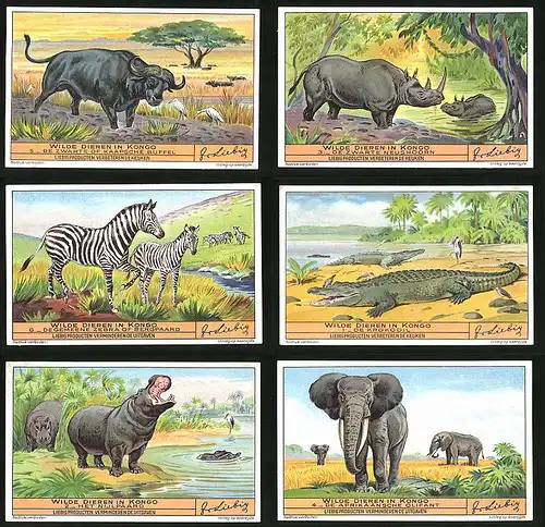 6 Sammelbilder Liebig, Serie Nr. 1349: Wilde Dieren in Kongo, Olifant, Nijpaard, Krokodil, Bergpaard, Neushoorn, Buffel