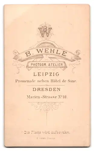 Fotografie B. Wehle, Leipzig, hübsche junge Dame im Sonntagskleid
