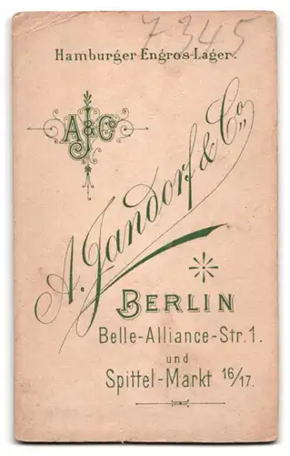 Fotografie A. Jandorf & Co., Berlin, Belle-Alliance-Strasse 1, Portrait junge Dame im hübschen Kleid