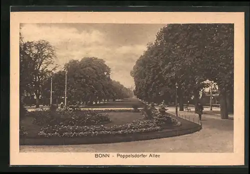 AK Bonn, Poppelsdorfer Allee