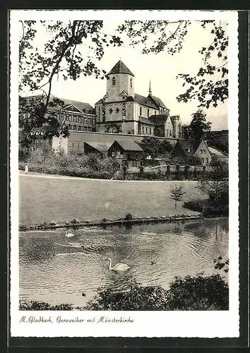 AK Mönchengladbach, Schwäne im Geroweiher mit Münsterkirche
