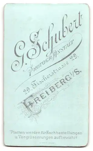 Fotografie Atelier Schubert, Freiberg i. S., Fischerstr. 29, junge Frau im Kleid mit Halsband und Hochsteckfrisur