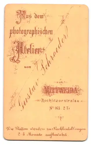 Fotografie Gustav Schroeder, Mittweida, Rochlitzerstrasse 163, Portrait Herr im Anzug mit Fliege