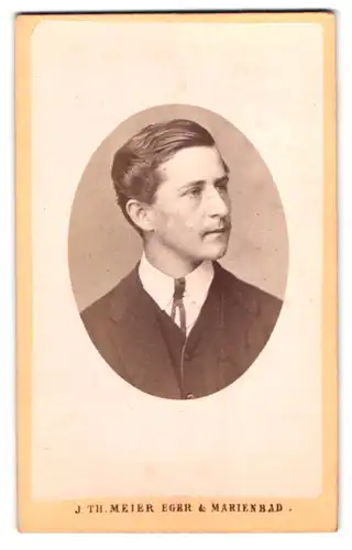 Fotografie J. Th. Meier, Eger, Bahnhofstrasse, Portrait junger Mann im Anzug mit gegelten Haaren